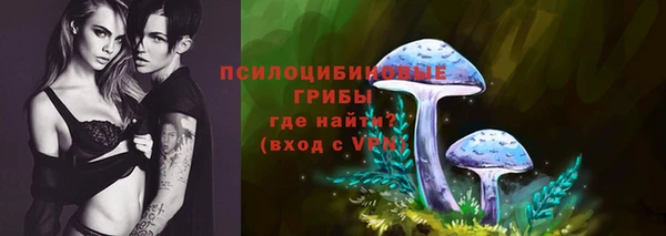 jwh Снежногорск