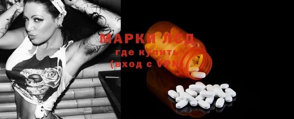 прущие грибы Арсеньев