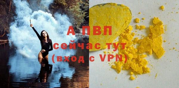 гашик Сосновый Бор