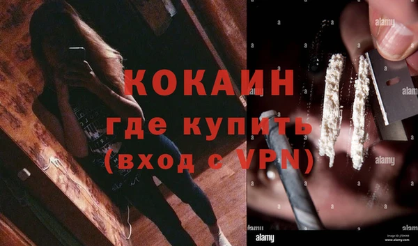спиды Сосновоборск
