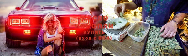 спиды Сосновоборск