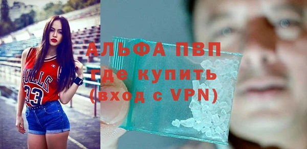 гашик Сосновый Бор